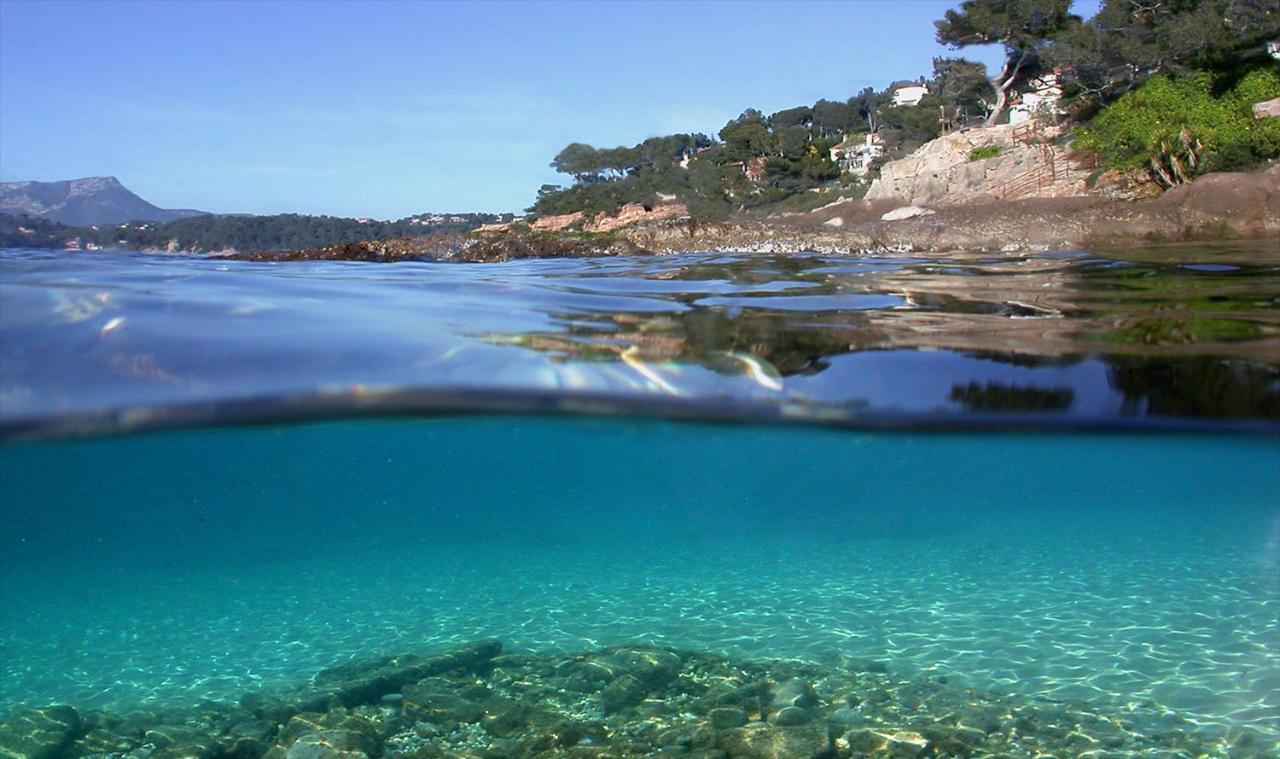 Magnifique Petit Cocon Bord De Mer Le Pradet Eksteriør bilde