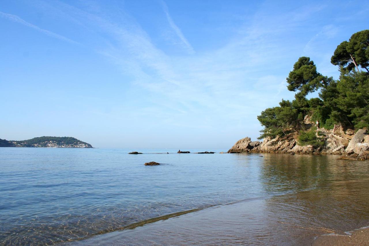Magnifique Petit Cocon Bord De Mer Le Pradet Eksteriør bilde